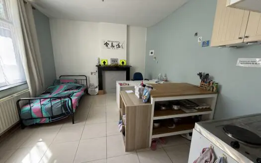 Appartement à louer , 490 €