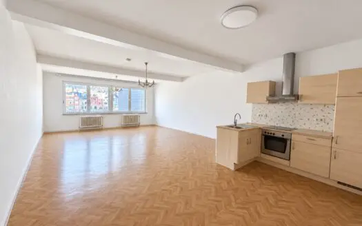 Appartement à louer  1 chambre 95 m², 575 €