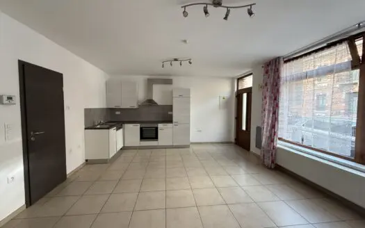 Appartement à louer  43 m², 565 €
